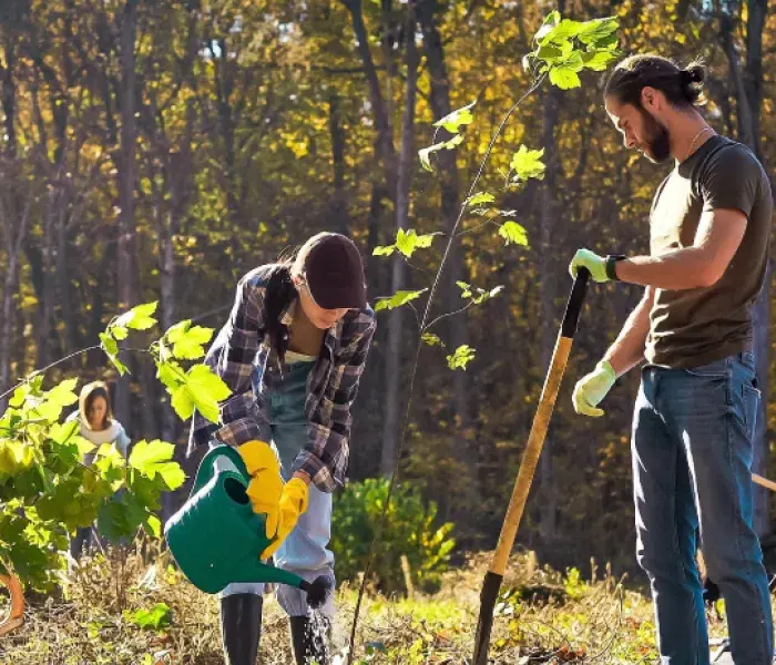 Diplomado en Restauración Ambiental y Desarrollo Comunitario