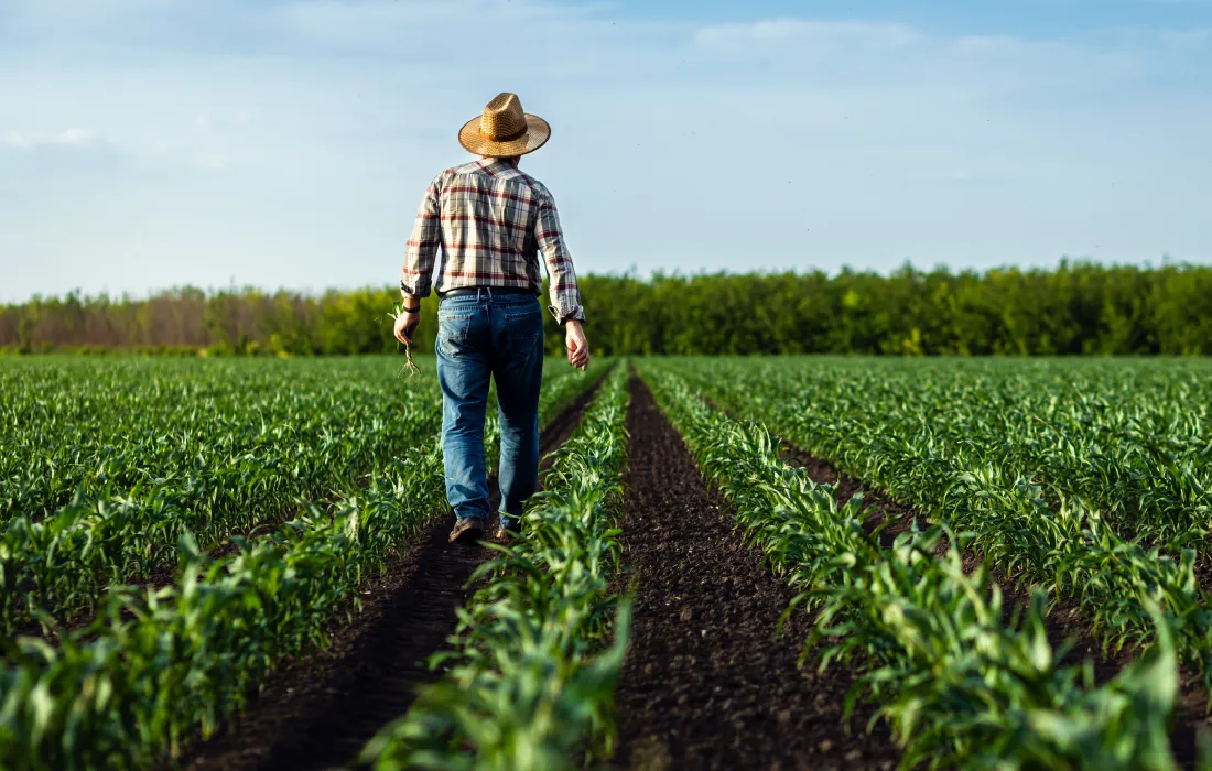 Jurisdicción Agraria: una clave para el desarrollo rural