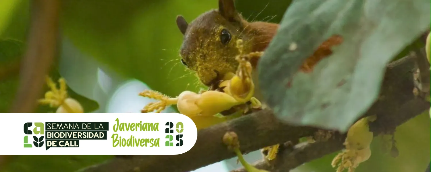 Javeriana Biodiversa 2025 Javeriana Biodiversa 2025