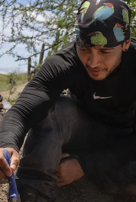 Profesor javeriano participó en descubrimiento de fósil del Ave del Terror más gran del mundo en el Desierto de la Tatacoa 